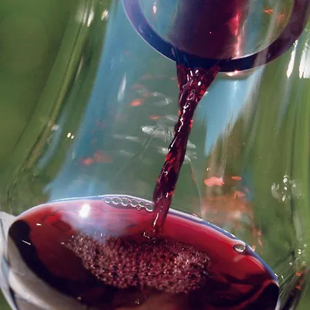 فندق مركيور كوبلنز كوبلنس