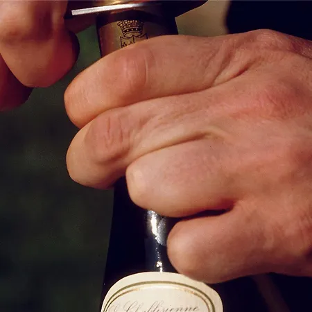 مركيور كوبلنز