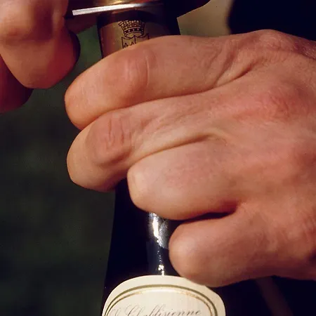 مركيور كوبلنز