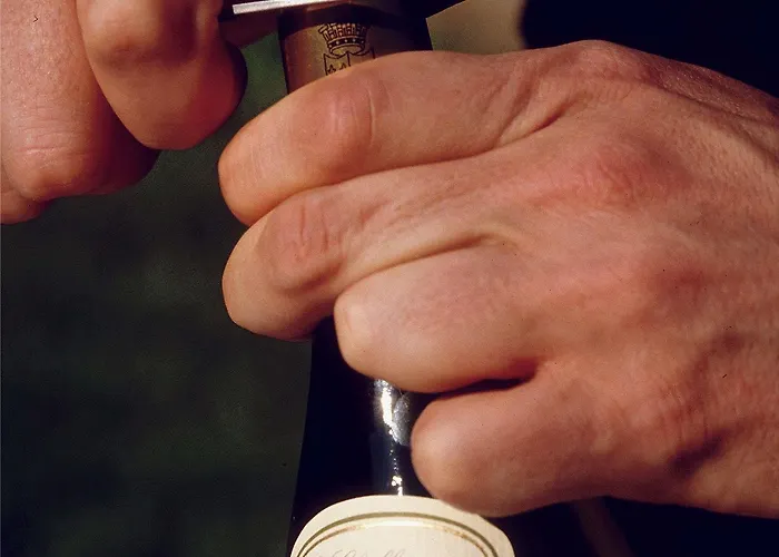 مركيور كوبلنز فندق 4*